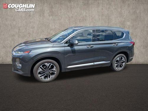 Rainforest 2019 Hyundai SANTA FE Limited