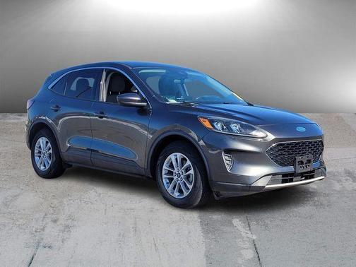 Magnetic 2020 Ford Escape SE