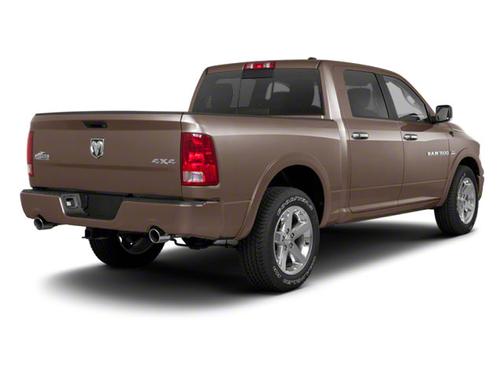 Austin Tan Pearlcoat 2010 Dodge Ram 1500 TRX