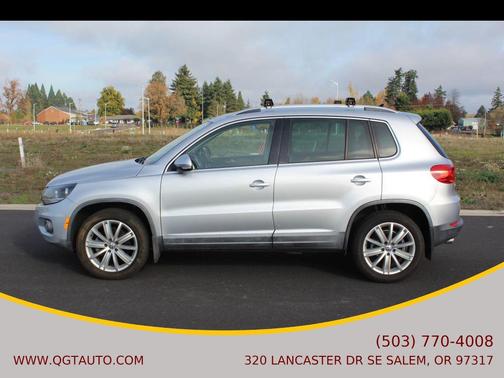 Reflex Silver Metallic 2013 Volkswagen Tiguan SE