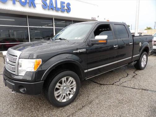 2010 Ford F-150 Platinum