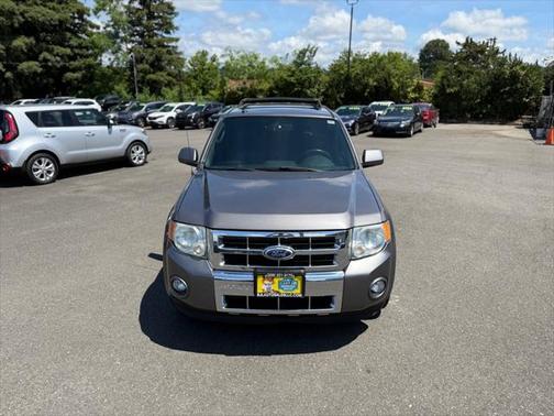 2010 Ford Escape Limited