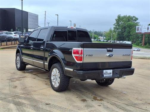 2013 Ford F-150 Platinum