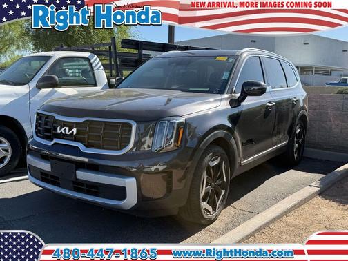 Panthera Metal 2025 Kia Telluride S