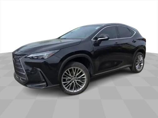 2022 Lexus NX 350h Luxury