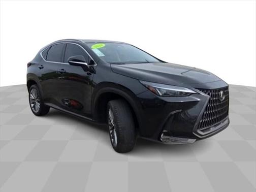 2022 Lexus NX 350h Luxury