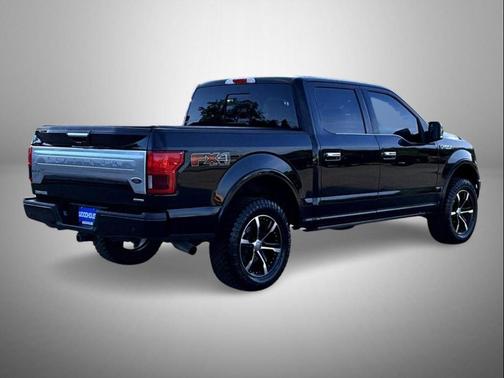 Agate Black Metallic 2019 Ford F-150 Platinum
