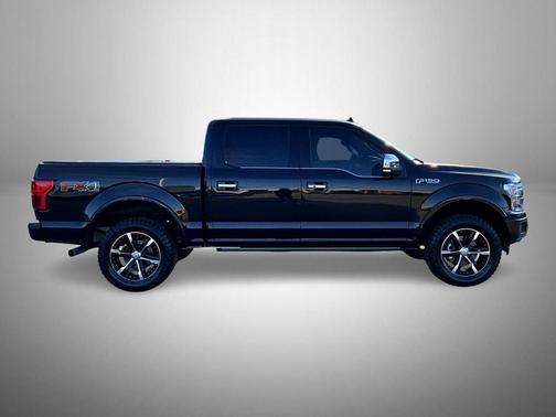 Agate Black Metallic 2019 Ford F-150 Platinum