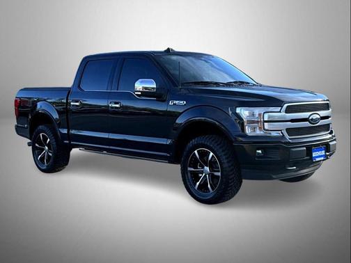Agate Black Metallic 2019 Ford F-150 Platinum