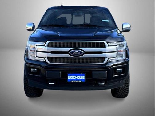 Agate Black Metallic 2019 Ford F-150 Platinum
