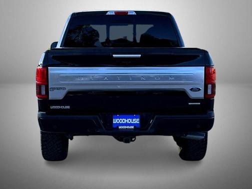 Agate Black Metallic 2019 Ford F-150 Platinum