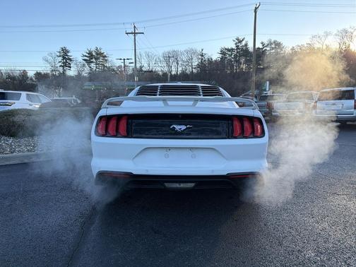 2019 Ford Mustang EcoBoost