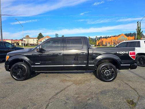 2011 Ford F-150 Platinum