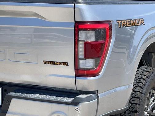 Iconic Silver Metallic 2021 Ford F-150 Tremor