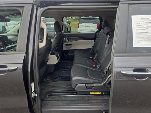 Panthera Metal 2023 Kia Carnival LX