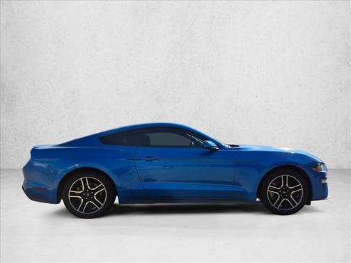Velocity Blue Metallic 2019 Ford Mustang EcoBoost