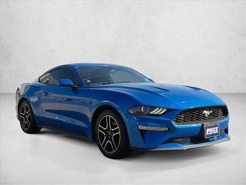 Velocity Blue Metallic 2019 Ford Mustang EcoBoost