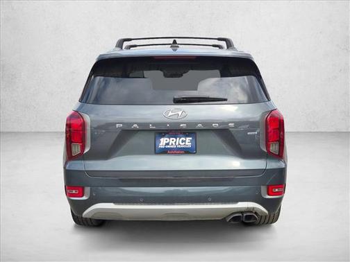 Rainforest 2022 Hyundai PALISADE Limited