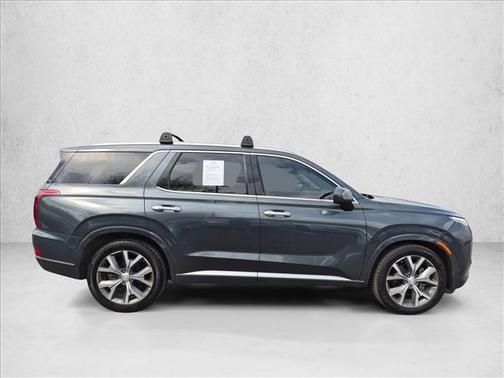 Rainforest 2022 Hyundai PALISADE Limited