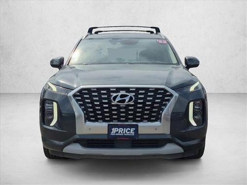 Rainforest 2022 Hyundai PALISADE Limited