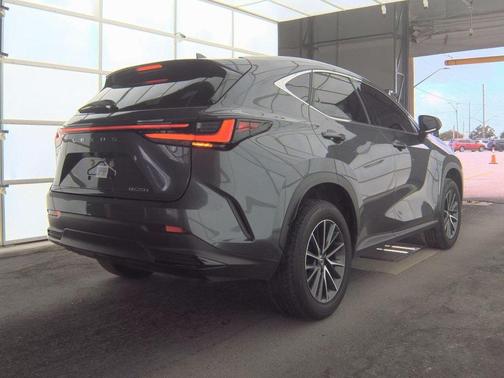 2024 Lexus NX 250 Base