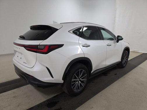 2024 Lexus NX 250 Premium
