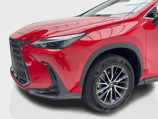 2024 Lexus NX 250 Premium