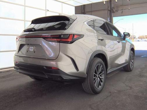2024 Lexus NX 250 Premium