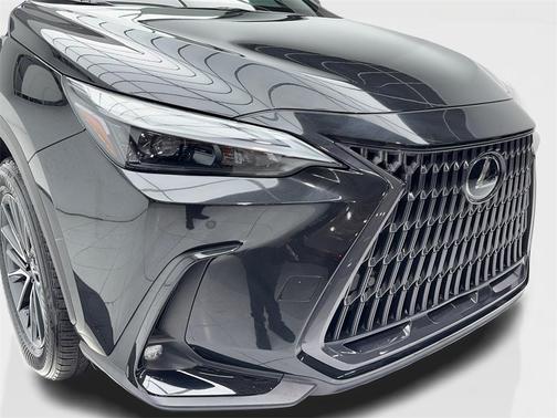 2023 Lexus NX 250 Premium