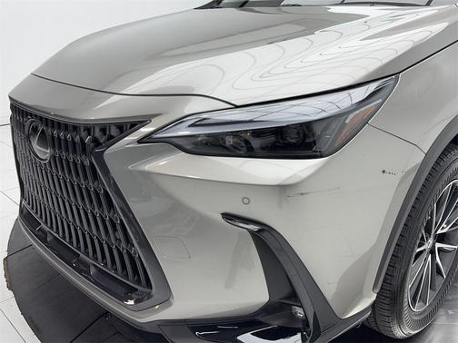 2025 Lexus NX 250 Premium