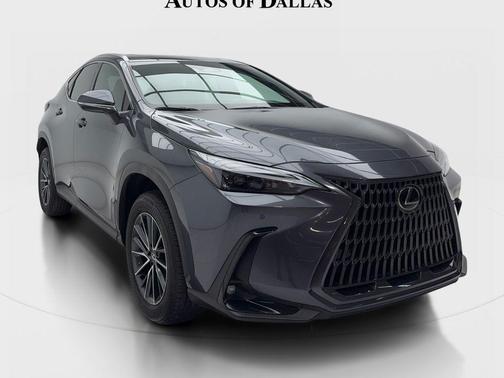 Cloudburst Gray 2025 Lexus NX 250 Premium
