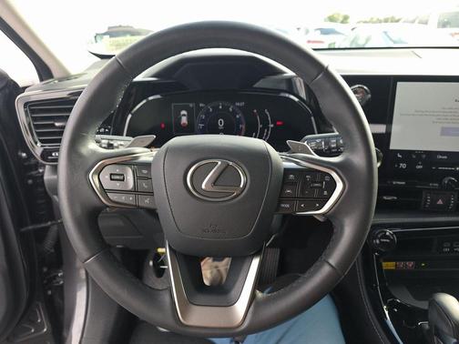 2024 Lexus NX 250 Premium