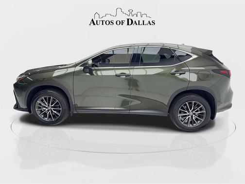 2024 Lexus NX 250 Premium