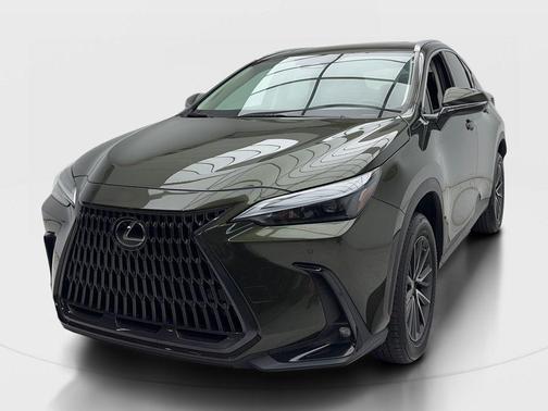 Nori Green Pearl 2023 Lexus NX 250 Premium