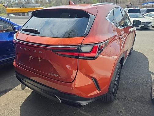 Cadmium Orange 2023 Lexus NX 250 Premium