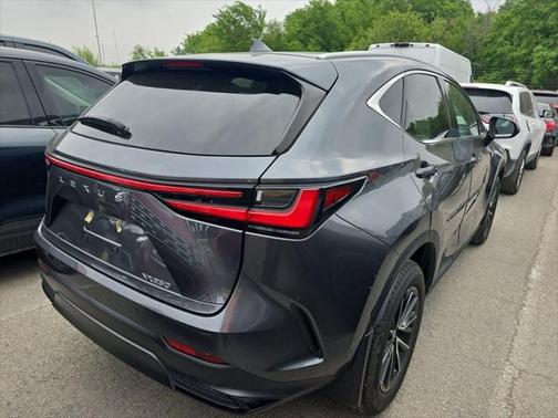 2024 Lexus NX 250 Premium