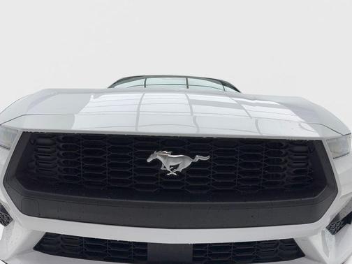 Oxford White 2026 Ford Mustang EcoBoost Premium
