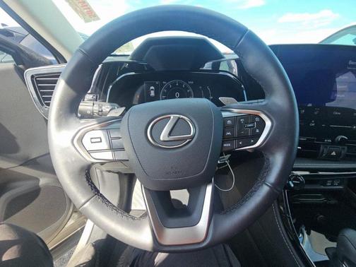 2024 Lexus NX 250 Premium