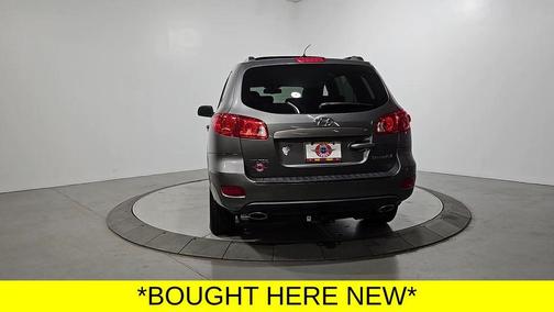 Willow Gray Mica 2009 Hyundai SANTA FE SE