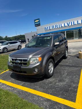 Sterling Gray Metallic 2012 Ford Escape XLT