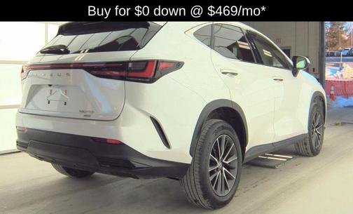 2024 Lexus NX 250 Base