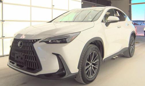 2024 Lexus NX 250 Base
