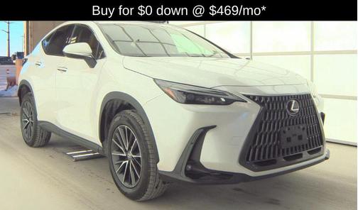 2024 Lexus NX 250 Base
