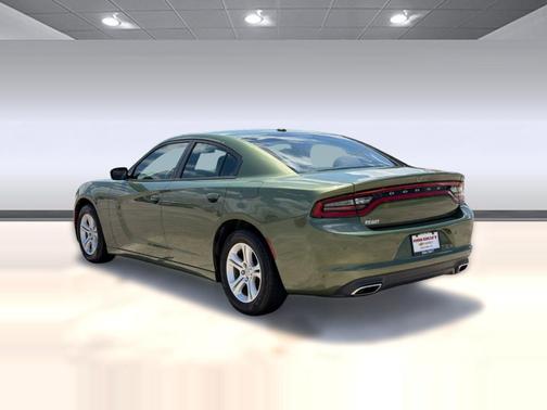 F8 Green 2019 Dodge Charger SXT