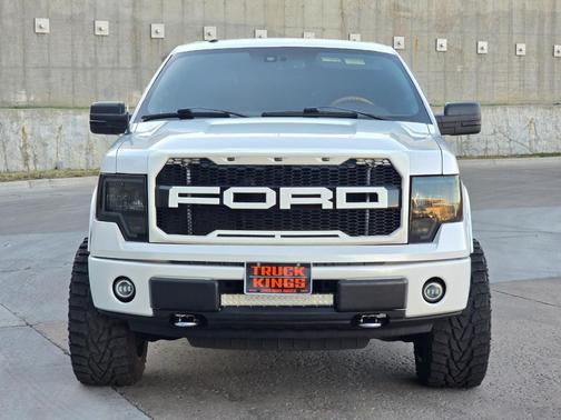 2010 Ford F-150 Platinum