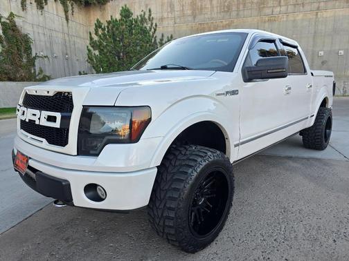 2010 Ford F-150 Platinum