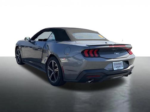 Carbonized Gray Metallic 2025 Ford Mustang EcoBoost Premium