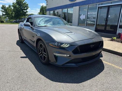 Magnetic Metallic 2019 Ford Mustang GT