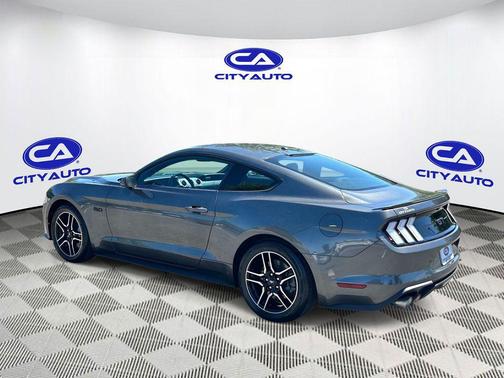Magnetic Metallic 2019 Ford Mustang GT