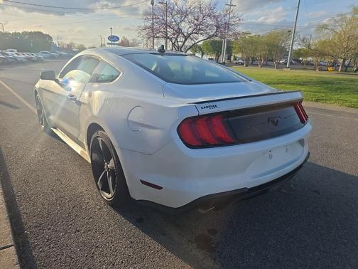 Oxford White 2021 Ford Mustang EcoBoost